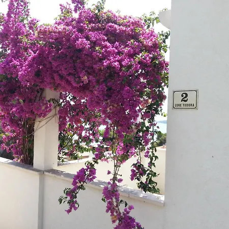 Apartment Filis