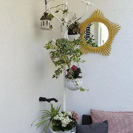 Apartment Filis Hvar Town